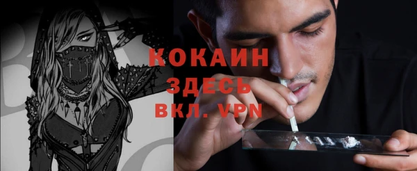 apvp Магадан