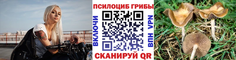 Псилоцибиновые грибы Magic Shrooms  Купить закладки  Ершов 